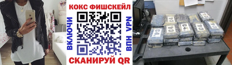 где продают наркотики  Новомичуринск  Cocaine FishScale 