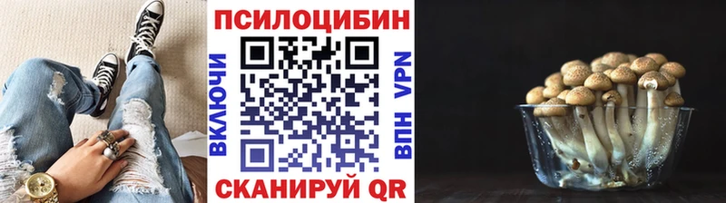 OMG tor  Новомичуринск  Псилоцибиновые грибы прущие грибы 